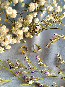 butterfly hoops