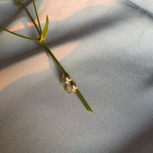 butterfly hoops