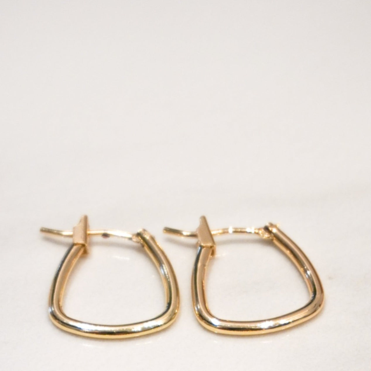 connie hoop earrings